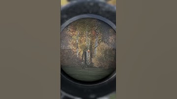 Heli crash dayz  #dayz #console