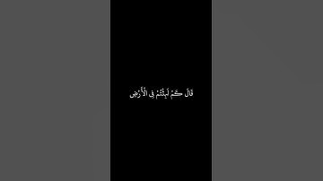 إسلام صبحي || شاشه سوداء قران || إنى جزيتهم اليوم بما صبروا أنهم هم الفائزون || سورة المؤمنون
