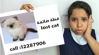 قطة شفا ضاعت  Shfa Lost our cat