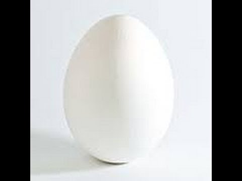 וִידֵאוֹ: מה בשטיפת ביצים?
