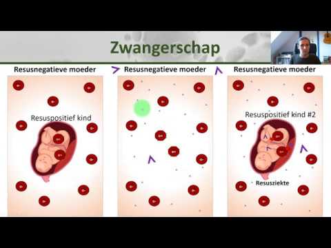 Bio - Resusfactor en orgaantransplantatie - Gezondheid #11