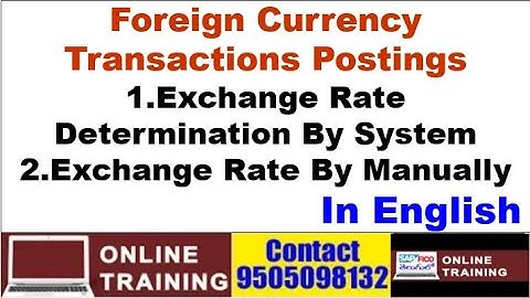 SAP FICO Batch - 4||Foreign Currency Transactions Postings|| In English