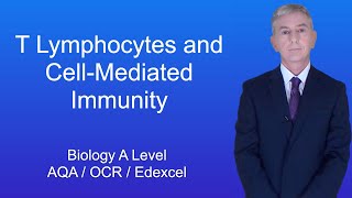A Level Biology Revision "T Lymphocytes and Cell-Mediated Immunity"