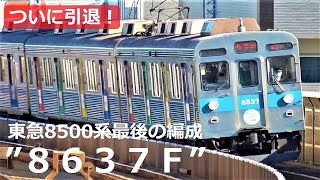 東急8500系がついに引退！最後の8637Fが間もなく運用離脱 | 東急田園都市線を爆音走行！