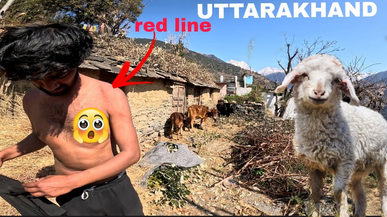 Life in the High Himalayas: The Hardest  people  in Uttarakhand 💪🏔