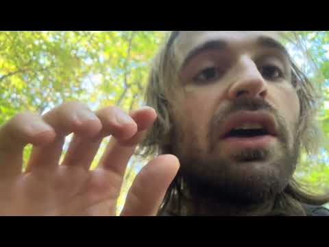 ASMR Camera Movement Walk