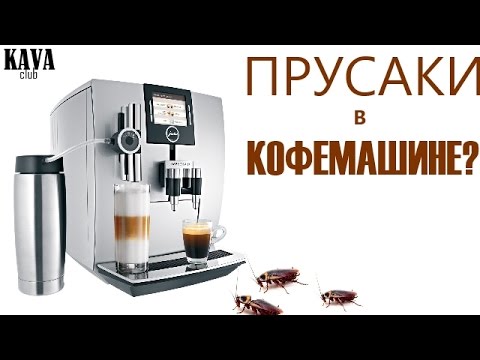 Тараканы, прусаки в кофемашине??? - YouTube