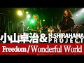 小山卓治&H.SHIRAHAMA PROJECT|Freedom / Wonderful World