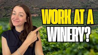 Every Winery Job Explained (From Vineyard to Glass)