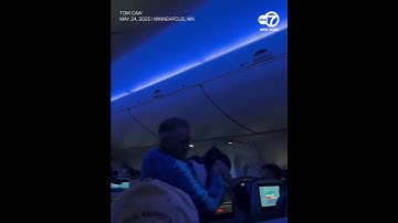 Pigeons cause chaos on flight