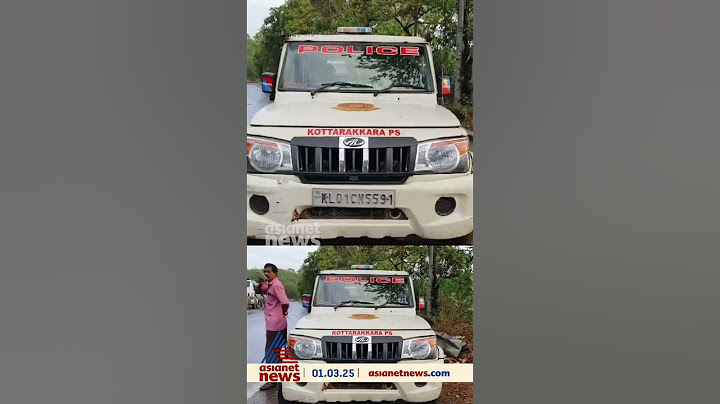ആനയുമായി വന്ന ലോറിയെ മറികടക്കാൻ ശ്രമം, KSRTC ബസ് ടൂറിസ്റ്റ് ബസിൽ തട്ടി തോട്ടിലേക്ക് മറിഞ്ഞു