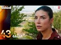 مسلسل المنظمة الحلقة 43 
