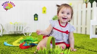 EME EARLY MIND ENRICHMENT SESSIONS PRENATAL TO PRESCHOOL STAGES