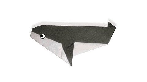Cách gấp, xếp con cá voi sát thủ bằng giấy origami - Video hướng dẫn
