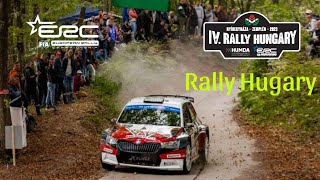 Dirt Rally Hugary High Speed || Rally Accident #Erc2023 #Hugary