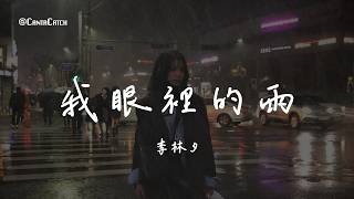 李林夕 - 我眼裡的雨『遺憾已填滿心裡 滿到兩人都擁擠 只剩越走越遠的 距離我眼裡的雨 只淋濕自己』【動態歌詞/PinyinLyrics】