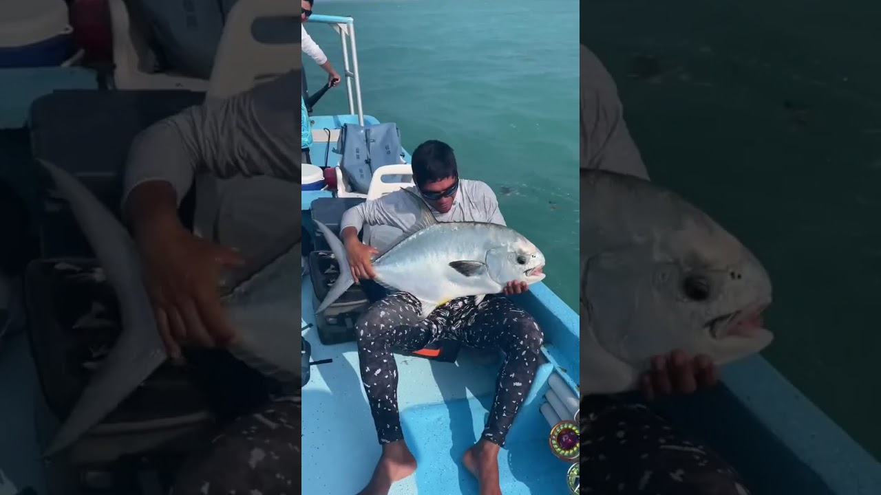 Ultimate Trick for Fishing 😱 Grabbing Giant Permit With Bare Hands (via ascensionbaylodge)