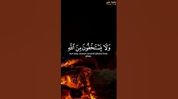 القارئ ناصر القطامي﴿يَستَخفونَ مِنَ النّاسِ وَلا يَستَخفونَ مِنَ اللَّهِ ﴾