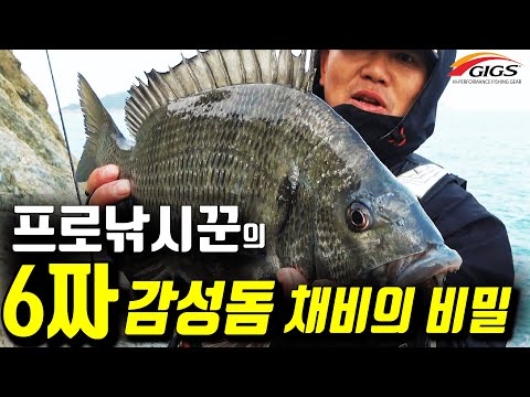 <strong>FSTV</strong> 정충화 프로의 선굵은 낚시 (추자도 낚시포인트)