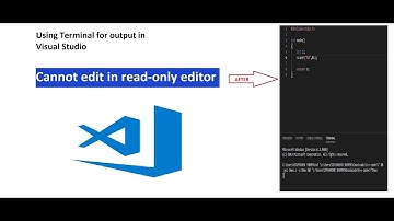 How to give input in VS Code || Cannot edit in read only mode || Running Code in terminal in VSCode