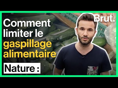 Vidéo: Le gaspillage est-il une connotation positive ?