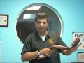 Shofares facil de tocar y como medirlo correctamente 28 " Shofar Pequeno Espanol
