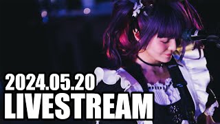 BAND-MAID / Let's talk