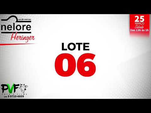 LOTE 06