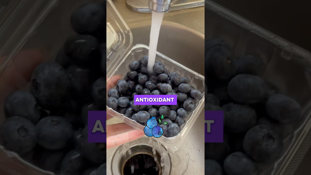 BLUEBERRIES! 🫐 Doctor Explains Health Benefits. #blueberry #blueberries #healthyfood #antioxidants