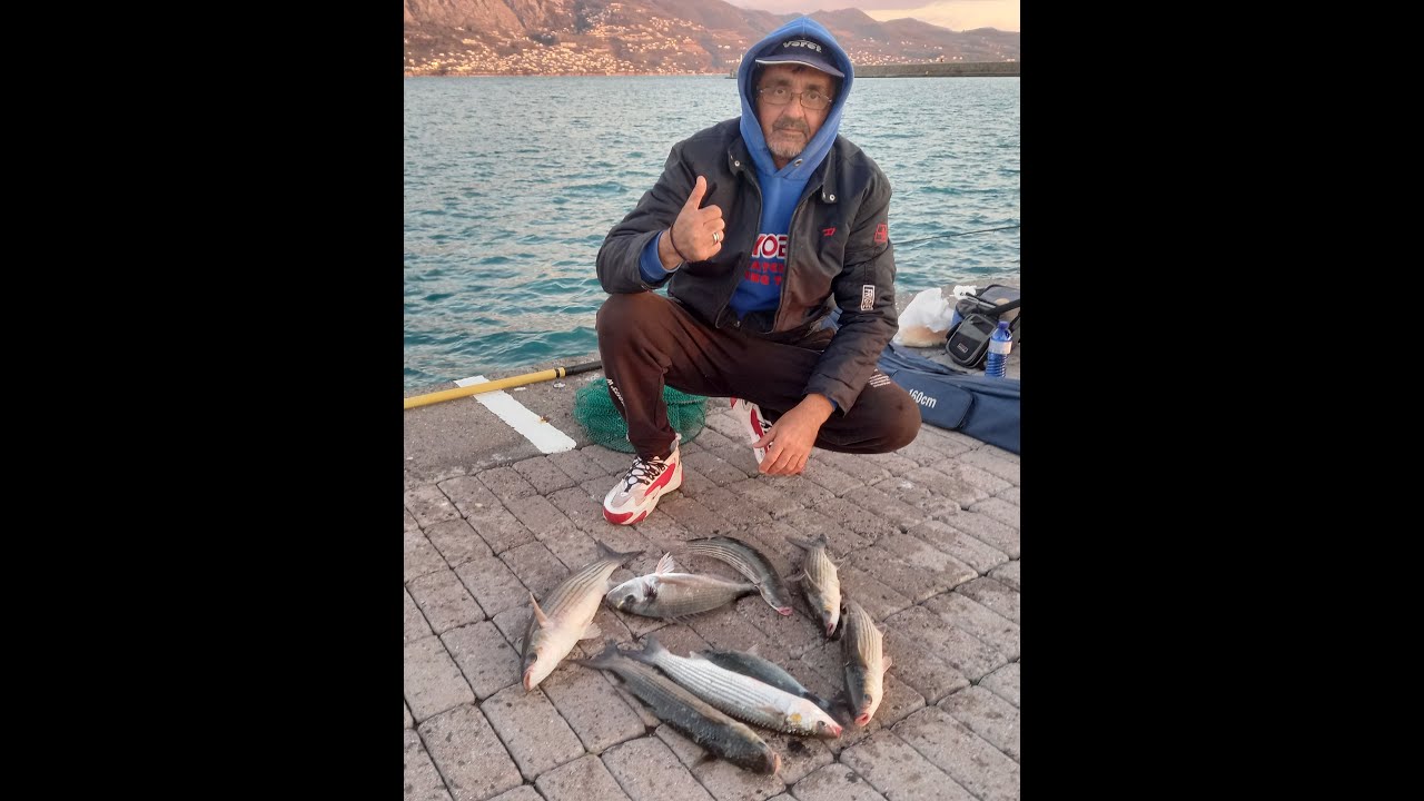 ΖΥΜΑΡΙ ΓΙΑ ΕΓΓΛΕΖΙΚΟ ( GORGONZOLA + VALERIANA )