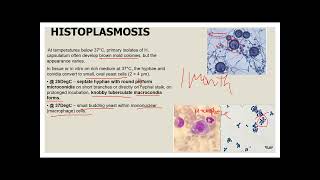 LESSON 4 SYSTEMIC MYCOSIS