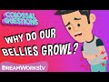 Understanding Stomach Growls
