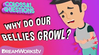 Why Does Your Belly Growl? | COLOSSAL QUESTIONS