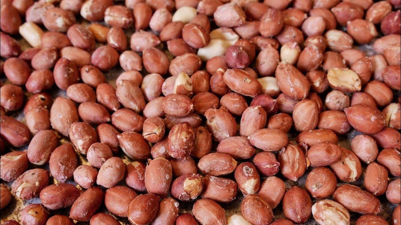 How to roast raw peanuts at home without oil घर पर मूंगफली कैसे भूनें