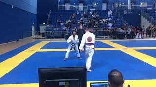 Robert Burke - Purple Belt Gi Middleweight - Masters 1 - IBJJF Dublin - Royal Grappling Academy