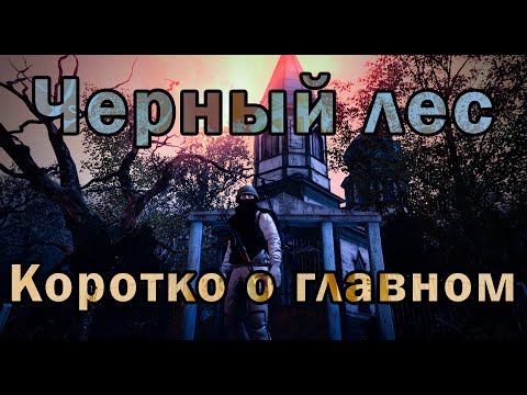 Секреты Черного Леса (Stalker Online/Stay Out)