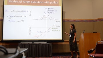 Ronce: Pollen dispersal slows geographical range shift