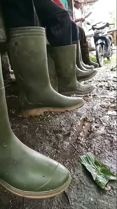 sepatu pekerja sawit berbaris #shorts