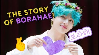 The Story of BORAHAE and its 𝗥𝗶𝗴𝗵𝘁𝘀 𝗖𝗼𝗻𝘁𝗿𝗼𝘃𝗲𝗿𝘀𝗶𝗲𝘀 💜😱 The meaning, origin...