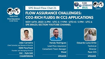 Flow Chat #21 | CO2-Rich Fluids in CCS applications