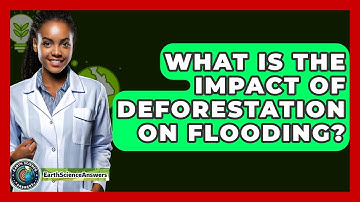 What Is The Impact Of Deforestation On Flooding? - Earth Science Answers