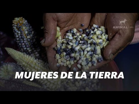 "Mujeres de la Tierra", el proyecto gastronómico que apoya a mujeres que sufren violencia