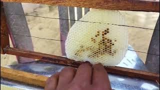 How to set up honey bee super box(माहू) #apisceranaindica#bekiping#mandihp  part 1