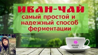 ИВАН-ЧАЙ простой, надежный рецепт ферментации для новичков, через мясорубку. ИВАН-ЧАЙ простой, надежный рецепт ферментации для новичков, через мясорубку.