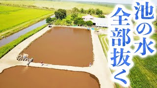 南米の巨大池の水を全部抜きます【南米の巨大池の水全部抜く#1】