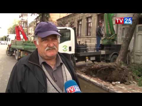 წუხანდელი უამინდობის შედეგები ბათუმში