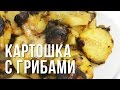 Простой рецепт. Жареная картошка с грибами