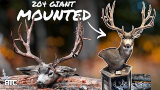 MY BIGGEST BUCK GOT MOUNTED | BTC 4K