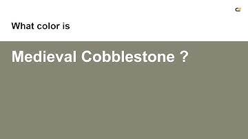 Medieval Cobblestone color #878573 hex color - Green color - Cool color 878573