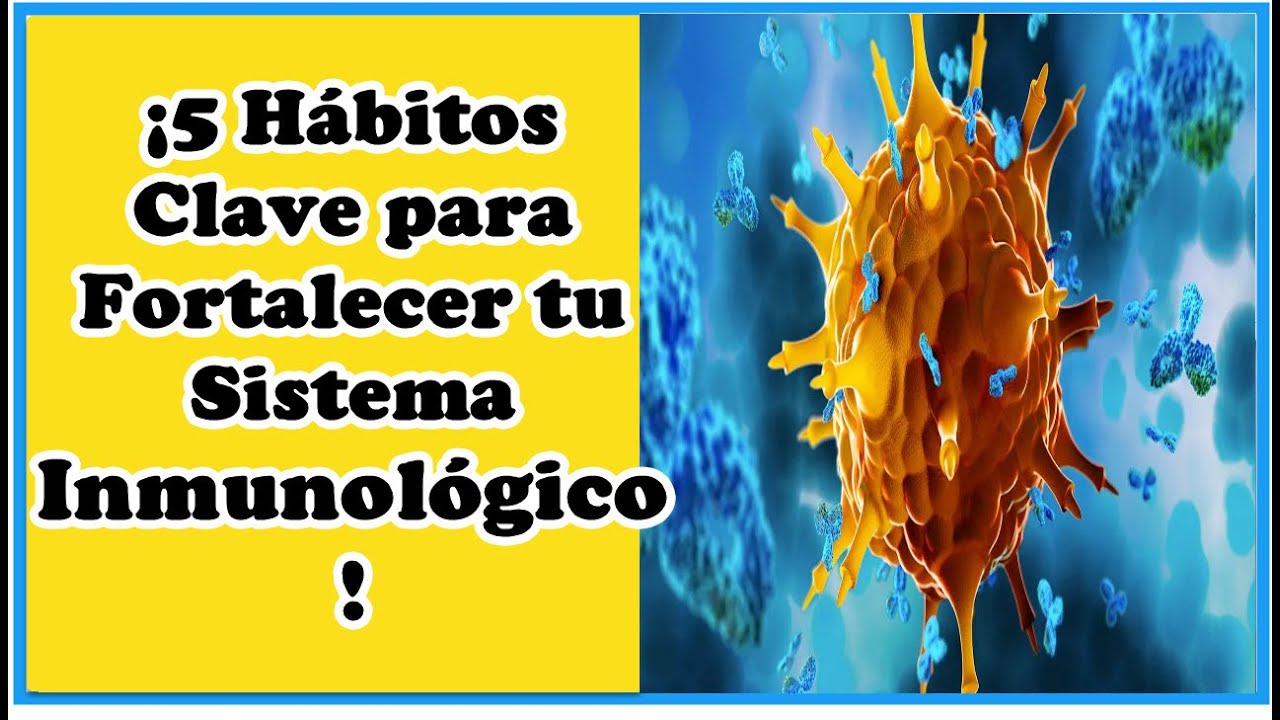 ¡5 Hábitos Clave para Fortalecer tu Sistema Inmunológico! - YouTube